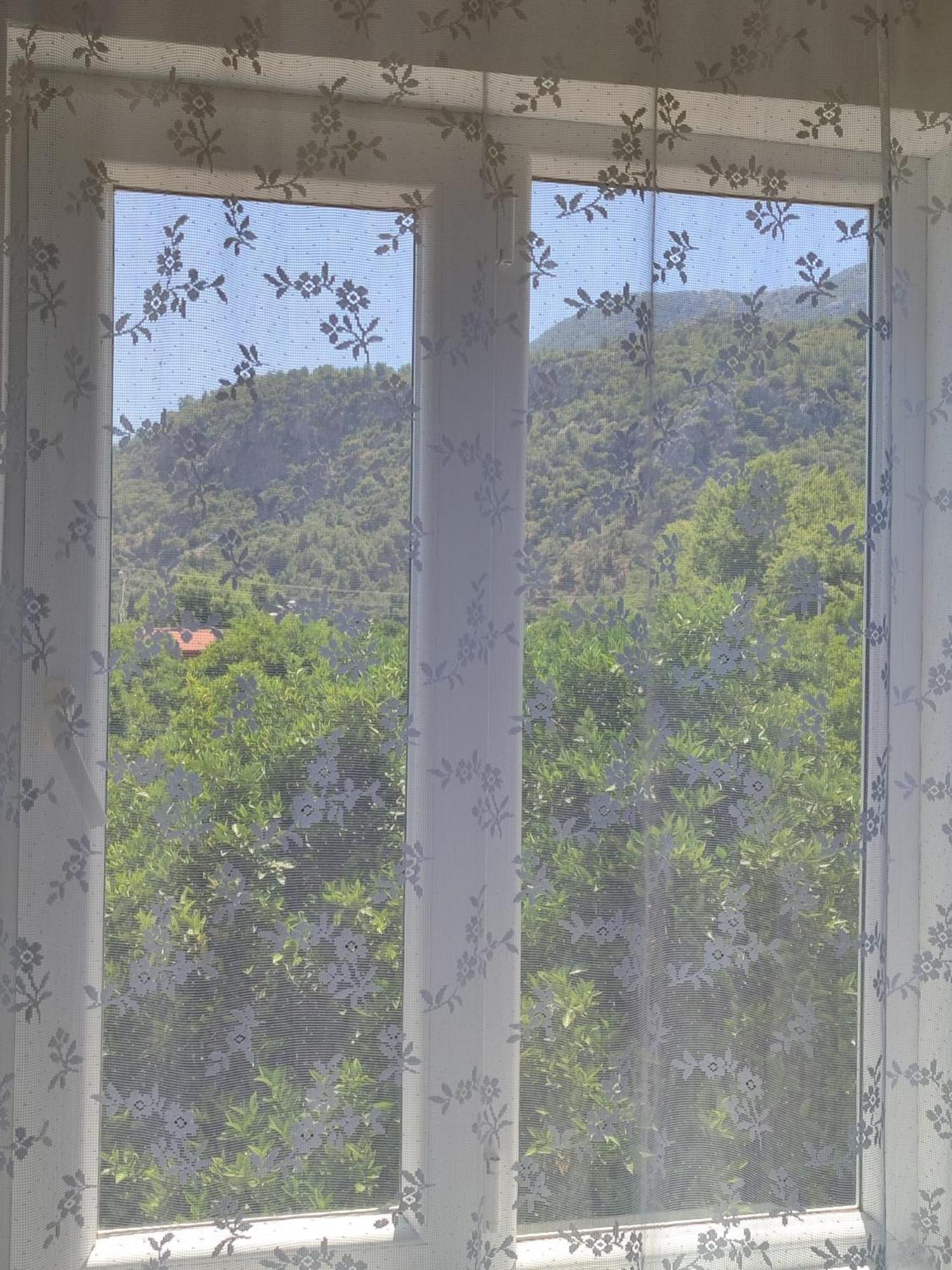 Flora Pansiyon Cirali Apartment Kemer Exterior photo
